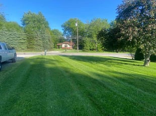 Dee P.'s lawn service service result