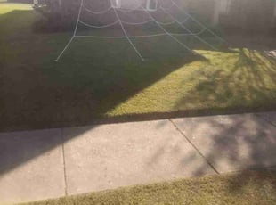 shawn y.'s turf maintenance service result