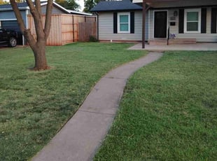 Enrique C.'s lawn care services service result
