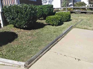 Richard V.'s Bush Trimming service result