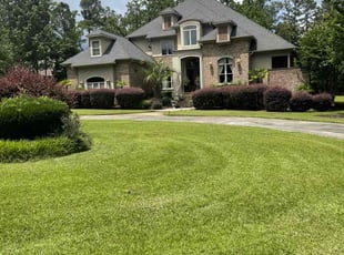 Natalie B.'s turf care service result