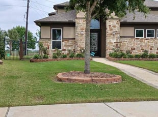 Adam C.'s lawn care service result