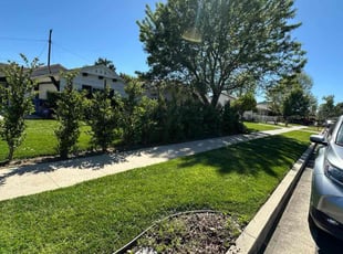 Elizabeth e.'s lawn maintenance service result