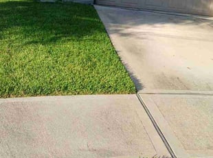 Trent K.'s turf maintenance service result