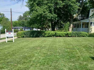 Bruce R.'s grass cutting service result
