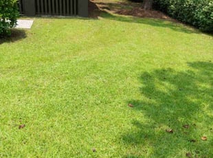 Vicki S.'s lawn care services service result