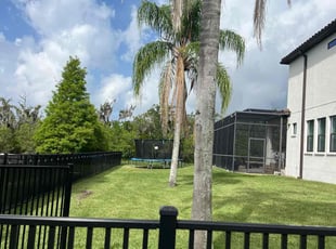 Jim S.'s turf maintenance service result