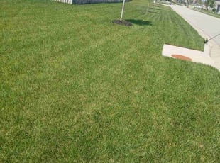 Gail P.'s lawn care services service result