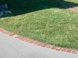 Karyn B.'s grass cutting service result