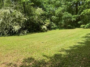 Egypt A.'s lawn care service result