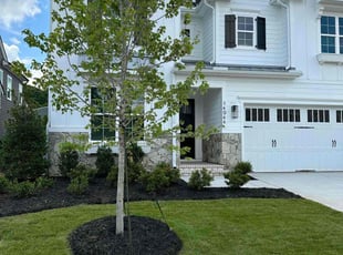 Darrell C.'s lawn care services service result
