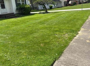 Charmaine S.'s turf care service result