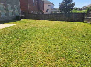 Michael I.'s grass cutting service result