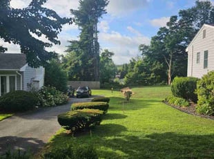 Ron M.'s grass maintenance service result