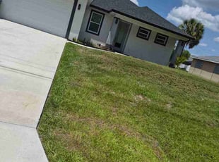 Catherine F.'s grass cutting service result
