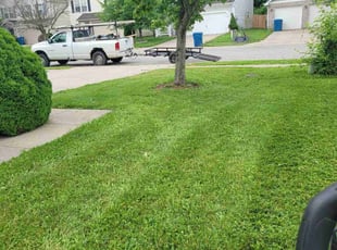 Jennifer R.'s turf maintenance service result