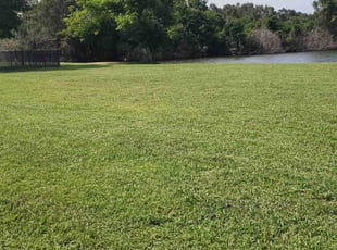 Roger R.'s turf care service result
