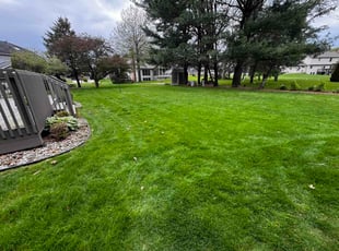 Cindy W.'s turf maintenance service result