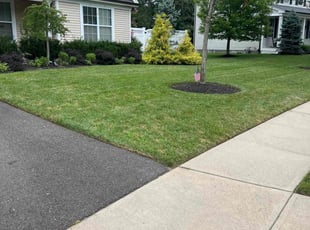 Jennifer V.'s grass maintenance service result