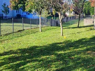 Calvin R.'s grass maintenance service result