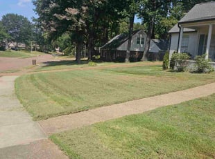 Andre K.'s lawn care services service result