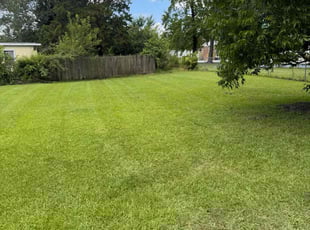 Stephan A.'s lawn maintenance service result