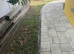 Nicky O.'s grass cutting service result