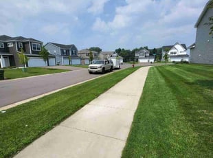 Vidhya N.'s lawn care services service result