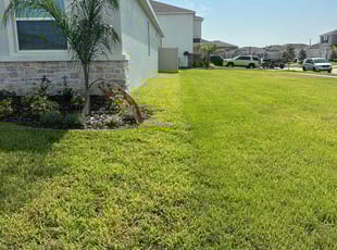 Christopher F.'s turf care service result