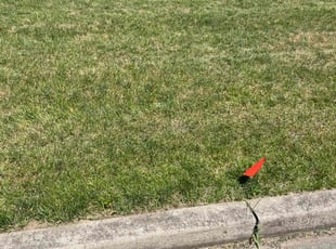 Jimmie R.'s grass maintenance service result