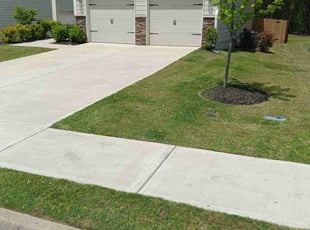 Cecily H.'s grass maintenance service result
