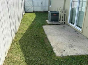 Ike M.'s grass cutting service result