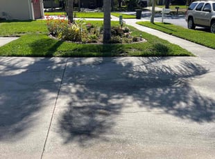 David L.'s lawn care services service result