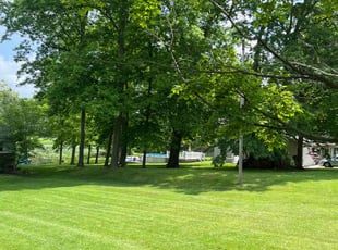 Bisa D.'s lawn service service result