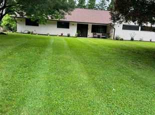 Danie D.'s turf care service result