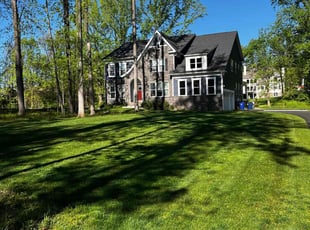 Tennille N.'s turf care service result
