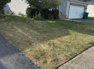Karen H.'s grass maintenance service result