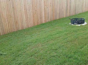 Carmen E.'s grass maintenance service result