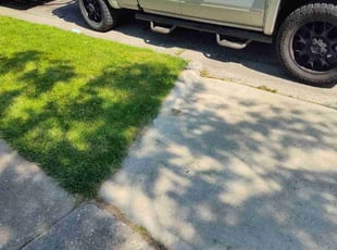 William H.'s lawn maintenance service result