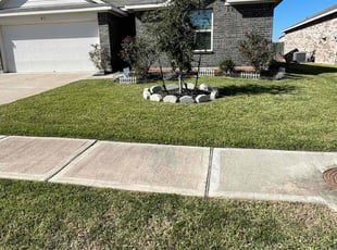 Tamara L.'s lawn maintenance service result