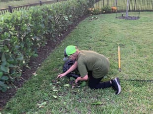 Julie T.'s Bush Trimming service result