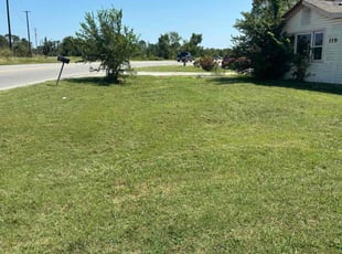 Amanda B.'s grass maintenance service result