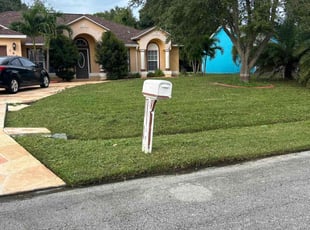 Mike -.'s lawn service service result