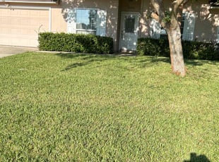 Marvin C.'s lawn service service result