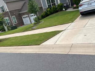 Adrian M.'s lawn maintenance service result