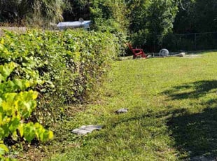 Tracey T.'s Bush Trimming service result