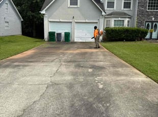 Gina P.'s grass cutting service result