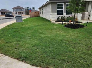 Dan L.'s grass maintenance service result