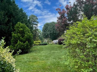 Lisa S.'s yard work service result