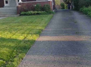 Allen S.'s turf maintenance service result